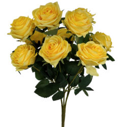 Elizabeth Rose Bush / Yellow
