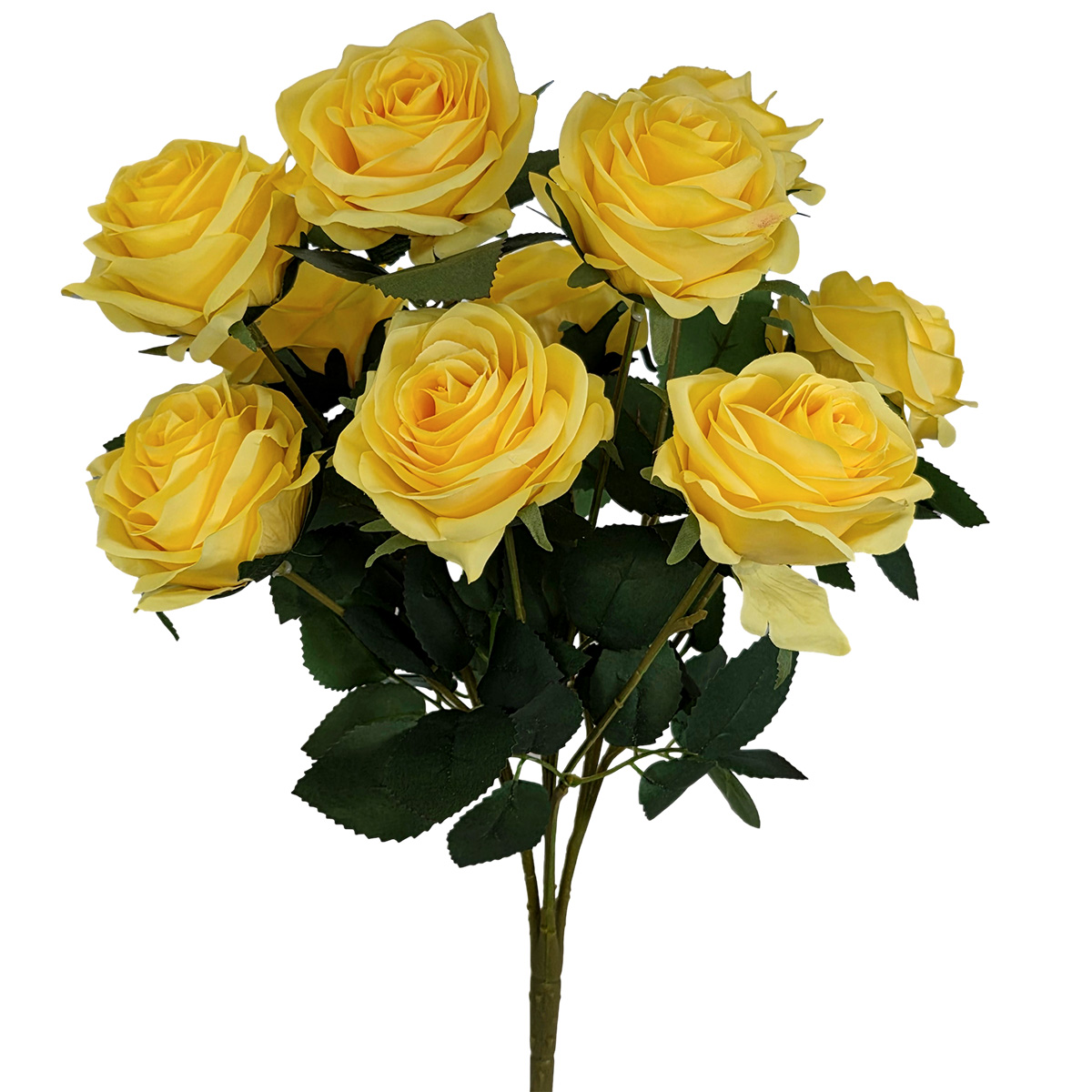 Elizabeth Rose Bush / Yellow