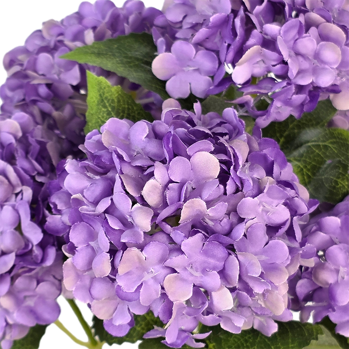 Ayah Hydrangea Bush x 7 heads - 30cmL / Purple - Image 2
